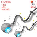 New Cat Interactive Ball Toy Automatic Rolling Ball Faux Tail Rechargeable Smart Pet Electric Toy Dog Cat Training Imitate Mouse
