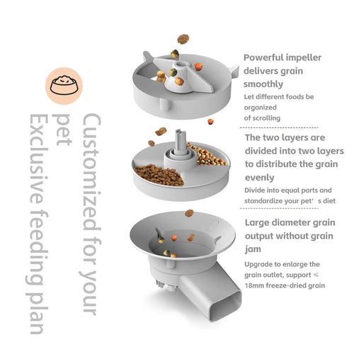 5L  Smart Automatic Cat Feeder