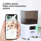 5L  Smart Automatic Cat Feeder