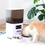 5L  Smart Automatic Cat Feeder