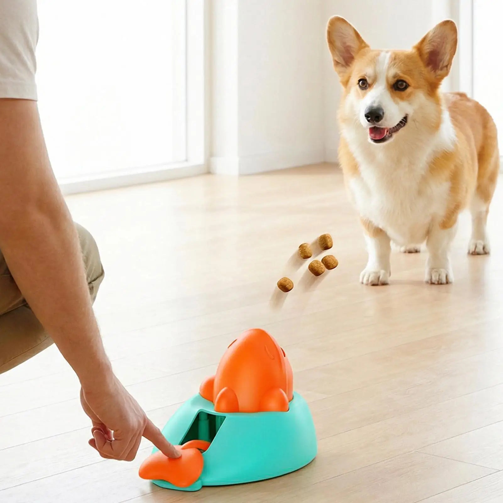 Pet Treat Dispenser