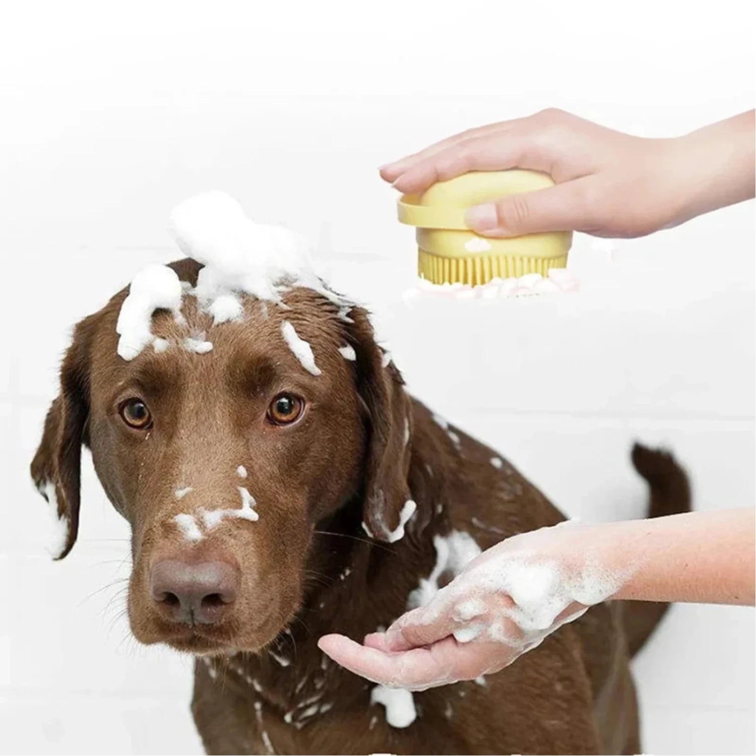 Bathroom Puppy Big Dog Cat Bath Massage Gloves Brush Soft Safety Silicone Pet Accessories  Dogs Cats Tools Mascotas Products