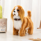 Robot Dog Interactive