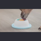 Pet Feeding Accessories Dog Treat Toy Puzzle Toys For Bored Puppy Slow Feeder Puppy Supplies For Healthy Eating Food Crate
